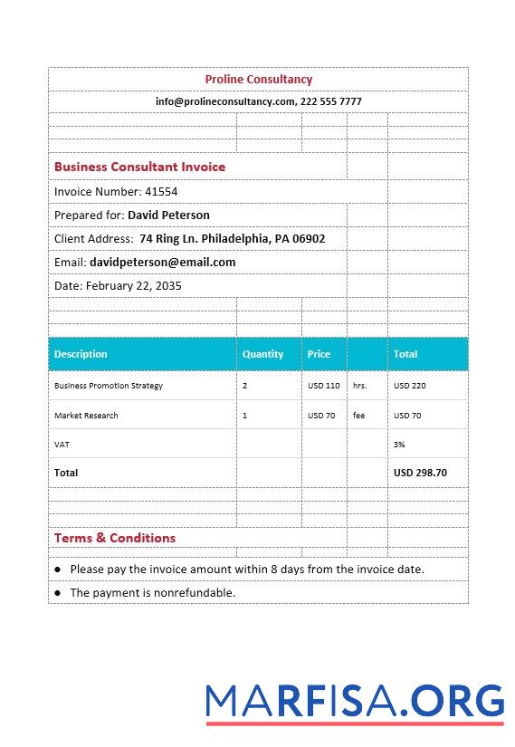 Blank Business Consultant Invoice. example